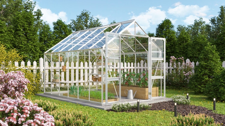 Vitavia Gewächshaus Domus 9900 inkl. 4 Dachfenstern - 9,9 m²