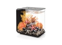 BiOrb Aquarium FLOW 15 MCR