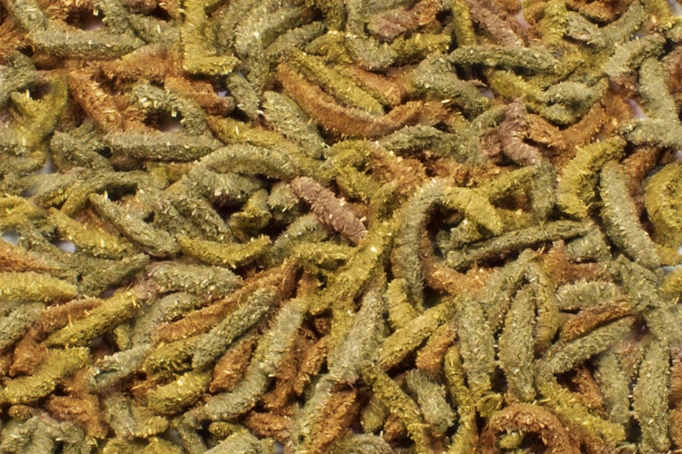 JR FARM Grainless Health Complete Zwergkaninchen Kleintierfutter