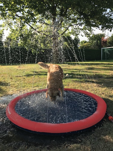 NOBBY Splash-Pool rot; Ø 100 cm