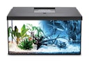 Vorschaubild Aquael Aquarienset LEDDY Day&Night 75 schwarz 2.0 Aquarium Set
