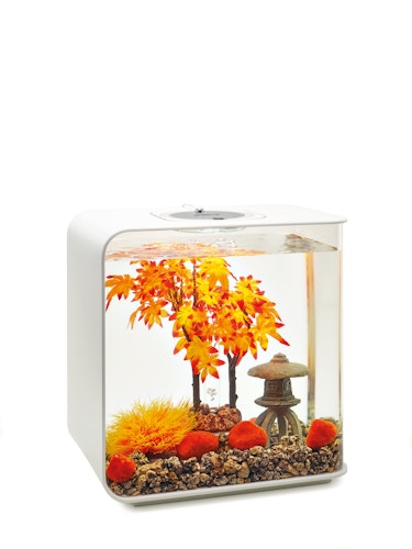 biOrb Decor Set 30L Herbst (55027)