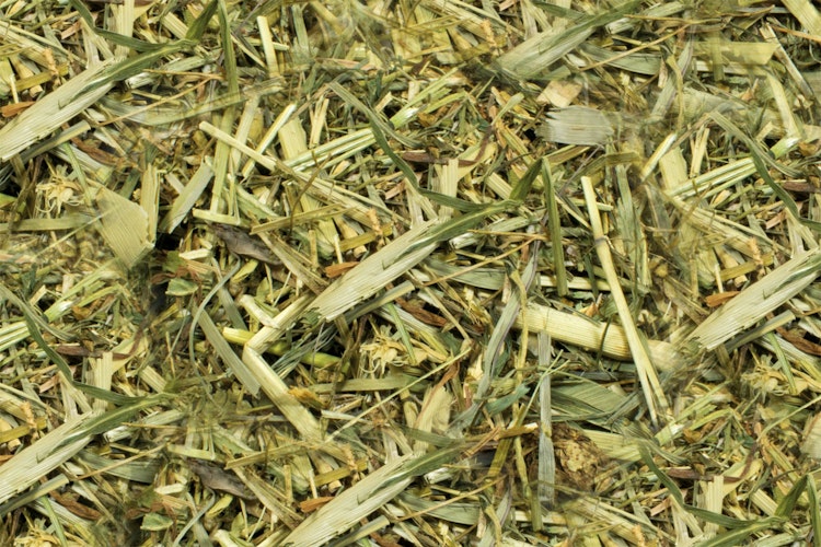 JR FARM Nager Kräutergarten Raufutter für Kleintiere