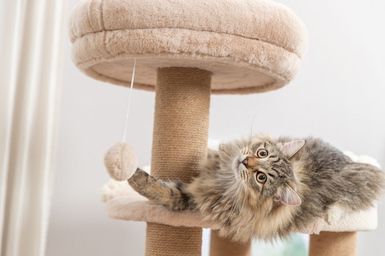 TRIXIE Kratzbaum Boho Filippo