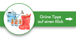 Tipps fÃ¼r einen schÃ¶nen Rasen