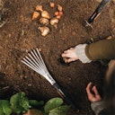 Vorschaubild Fiskars Xact Handrechen 1027044