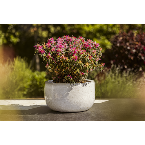 Plant Pot Kielo weiß