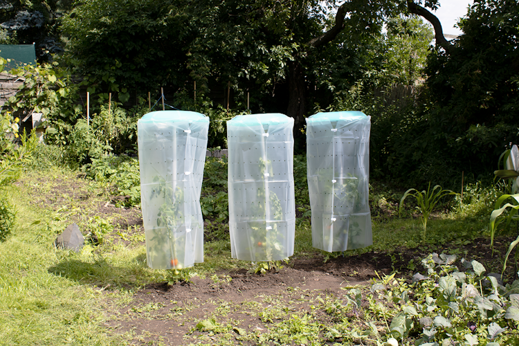 KHW Tomatenhut 3er Set