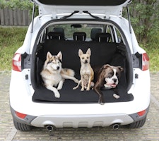 NOBBY Kofferraum Schutzdecke 173 x 153 cm