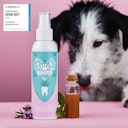 Tierliebhaber Dentalspray