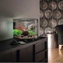 Vorschaubild BiOrb Deko Aquarium TUBE 15 mit MCR - 15 Liter