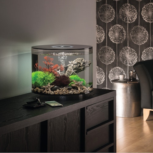 BiOrb Deko Aquarium TUBE 15 mit MCR - 15 Liter