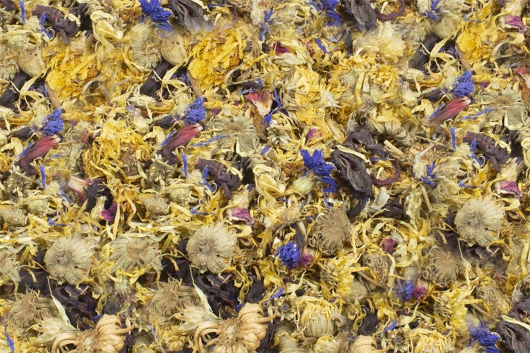 JR FARM Chinchilla-Blütengarten 50g Kleintiersnack