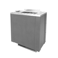 Infraworld Verdampferofen Bi-O Filius 6 kW