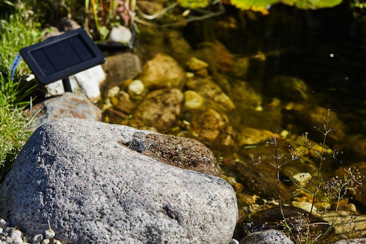 Heissner Solar-Pumpen-Set ca.550 l/h