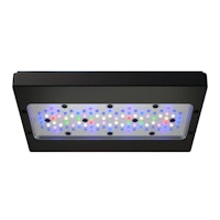 Ecotech Marine Radion XR15 G6 Aquariumbeleuchtung