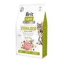 Vorschaubild Brit Katze Sterilized - Immunity Support