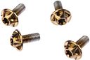 Vorschaubild Silca Schraube M5 x 12 mm gold