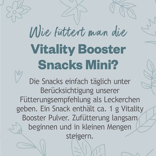 grau Hokamix30 Snack Petit Nahrungsergänzung