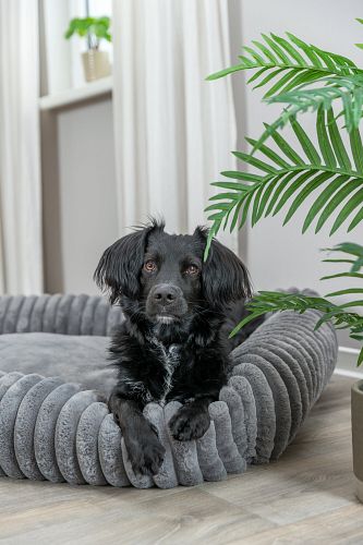 TRIXIE Bett Lonni, Cordplüsch, eckig, grau
