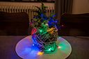 Vorschaubild Konstsmide Weihnachtsbeleuchtung  Micro LED Lichterkette 35 bunte Dioden