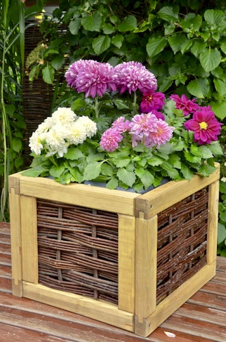 T&J ALICIA Blumenkasten Weide B 40 x T 40 x H 32 cm -Auslaufartikel