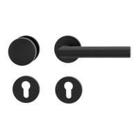 Griffwerk Wechselgarnitur LUCIA PROF Schraubtechnik FS Rosetten rund Knopf R2 38-50mm Graphitschwarz R