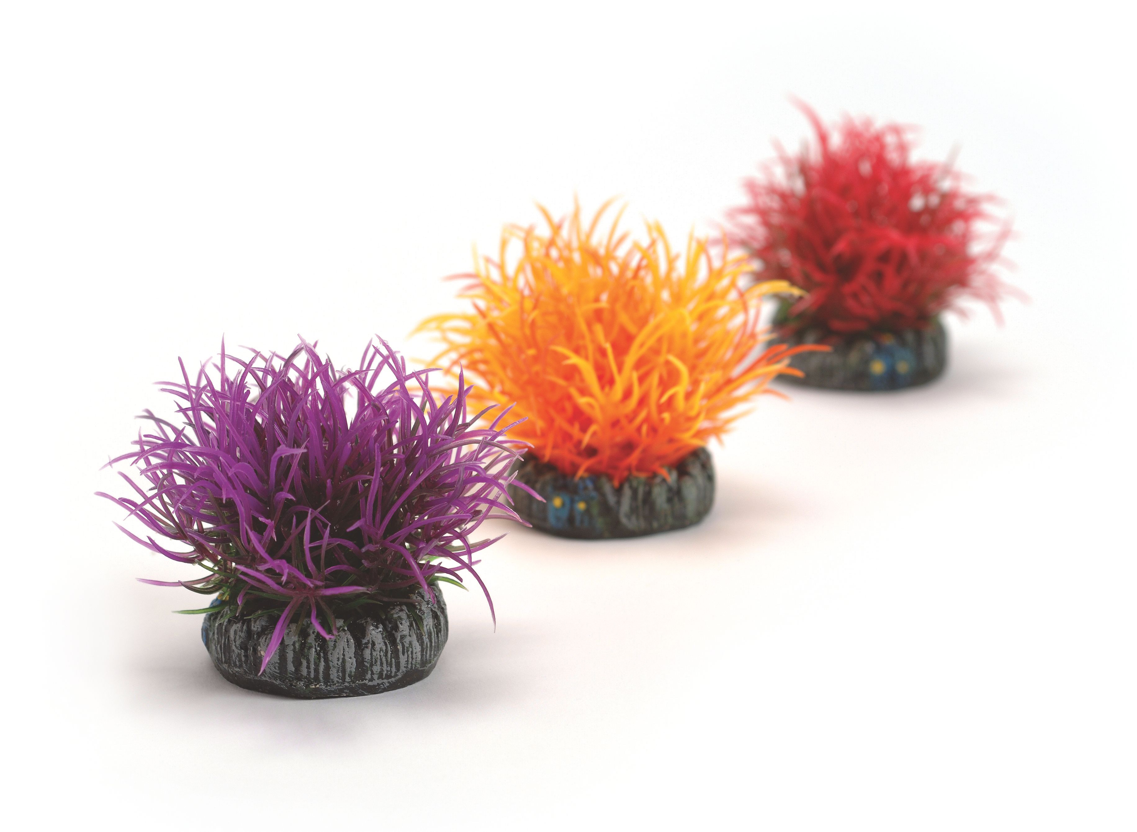 biOrb Gewächsball Set 3 bunt (46061)