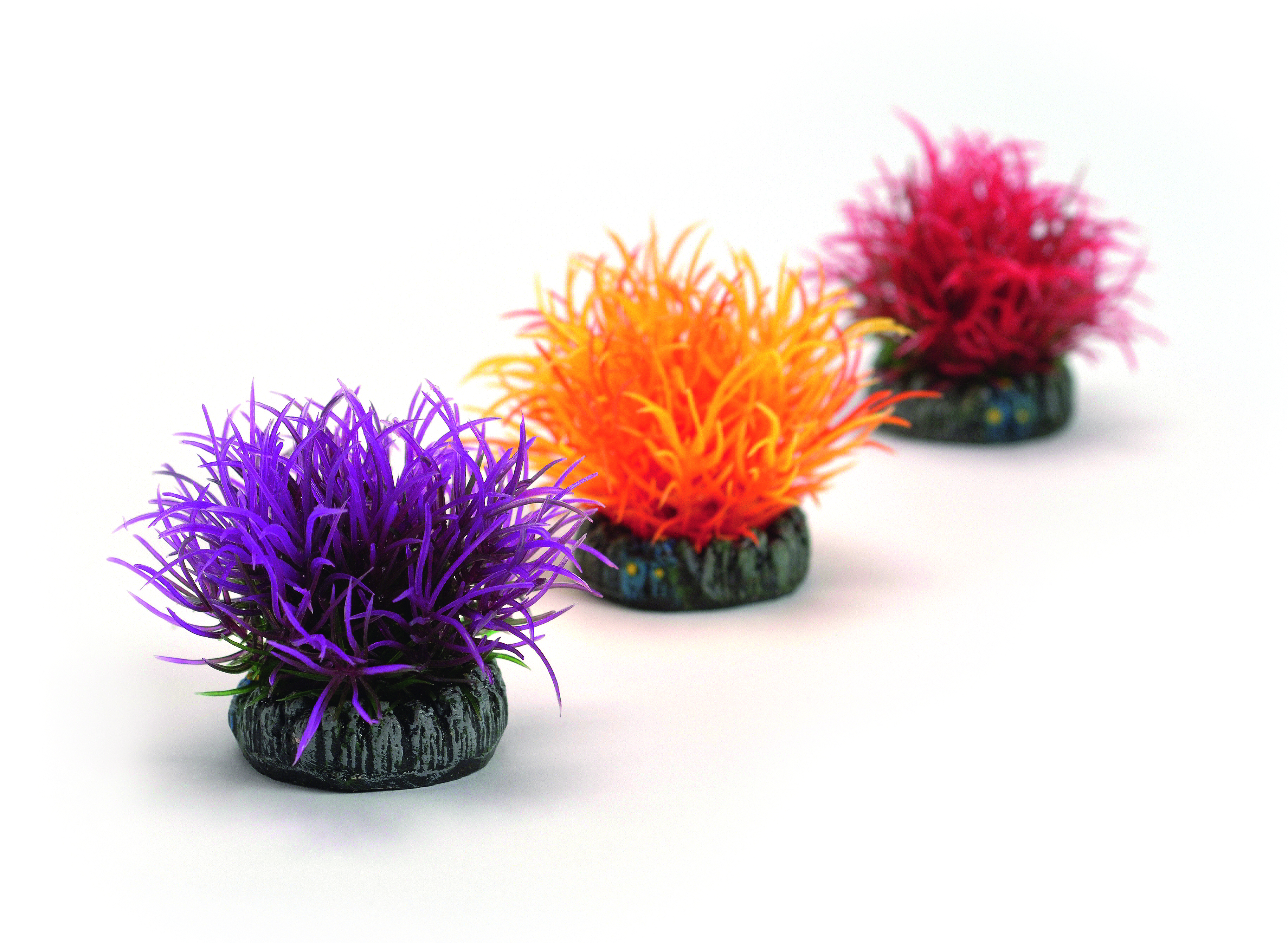 biOrb Gewächsball Set 3 bunt (46061)