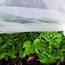 Vorschaubild Noor Gartenvlies Schutzvlies 1,5x10m 15gr Frühbeetvlies