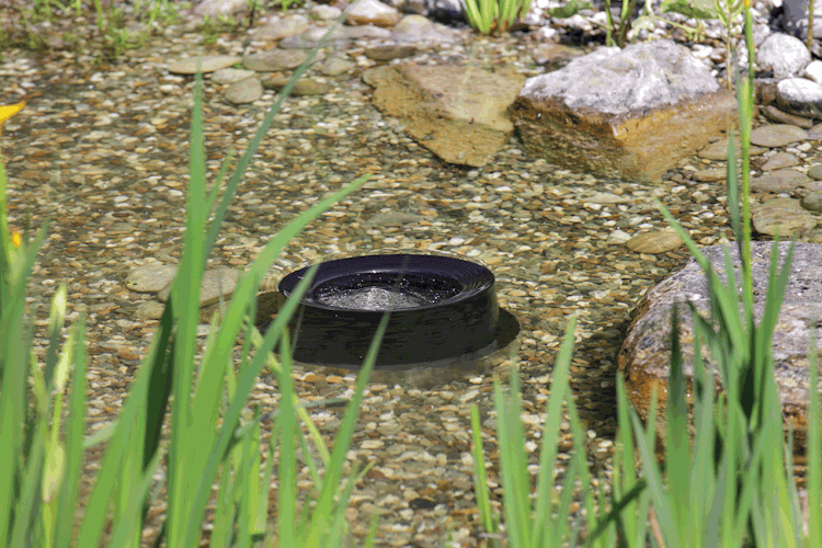 Oase ProfiSkim Premium