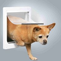 TRIXIE 2-Wege Freilauftür für Hunde, mit Tunnel, XS–S: 27 × 28,5 cm, weiß
