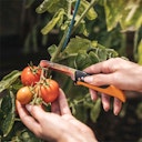 Vorschaubild Fiskars Erntemesser X-series Klappbares K80 1062819