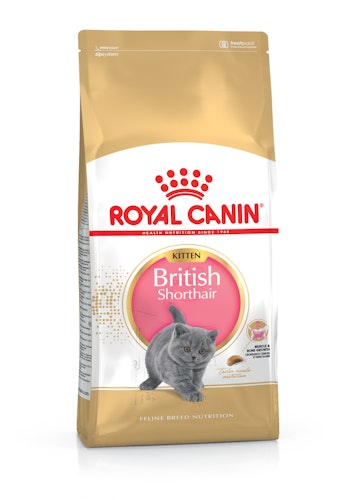 ROYAL CANIN FBN British Shorthair Kitten Katzentrockenfutter