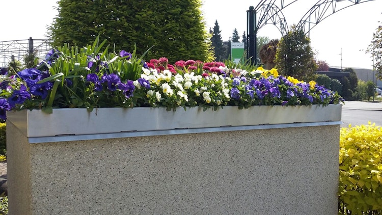 Paul Wolff Pflanzwanne aus Edelstahl zur bauseitigen Begrünung