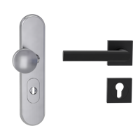 Griffwerk Kombi-Schutzbeschlag TITANO SB_882 mit Griff TRI 134 72mm Zylinderabdeckung Tür 38-50mm L TRI 134 eckig Graphitschwarz