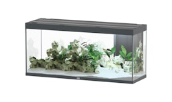 Aquatlantis Sublime 420 Anthrazit Aquarium-Set
