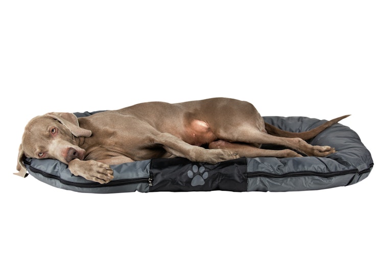 Nobby Kissen Classic RENO 113 x 83 x 12cm