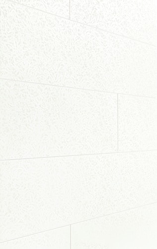 MEISTER Dekorpaneele MeisterPaneele. terra DP 200 / Duo Gloss White 4089