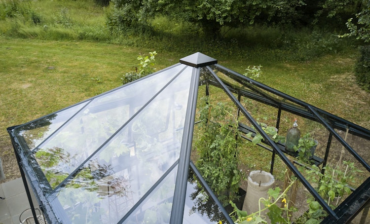 Halls Gewächshaus Qube Square - 6,3 m²