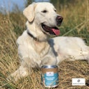 Vorschaubild Paws&Patch ZELLULOSE PULVER 150g