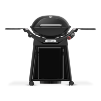 Weber Q3200N+ Gasgrill mit Rollwagen - Black