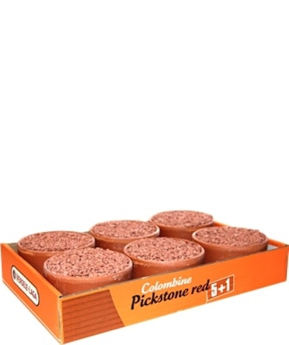 Vers 600g Pickstein Rot 5+1