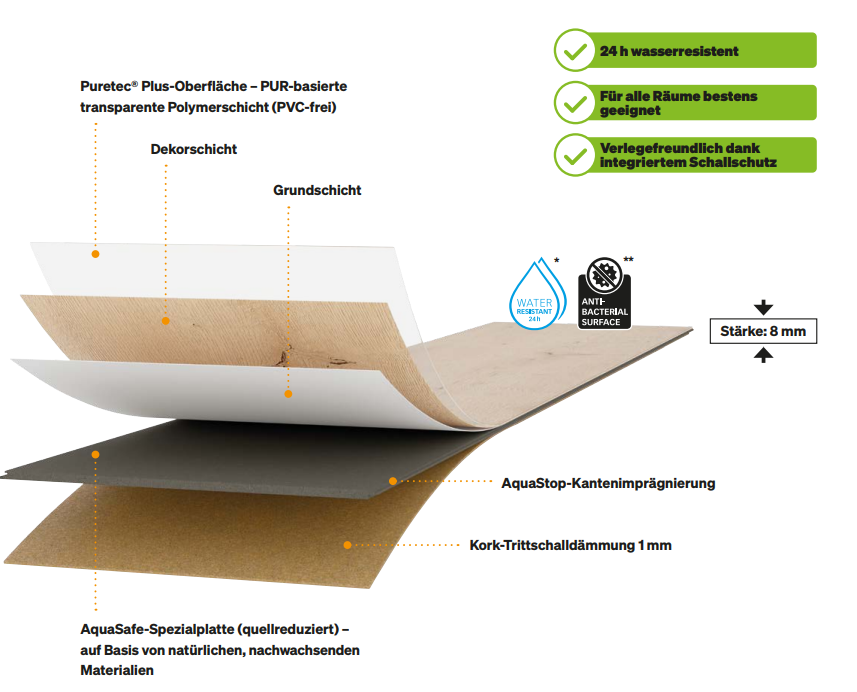 Meister_2023_desing_neu_2