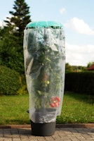 KHW Tomatenhut