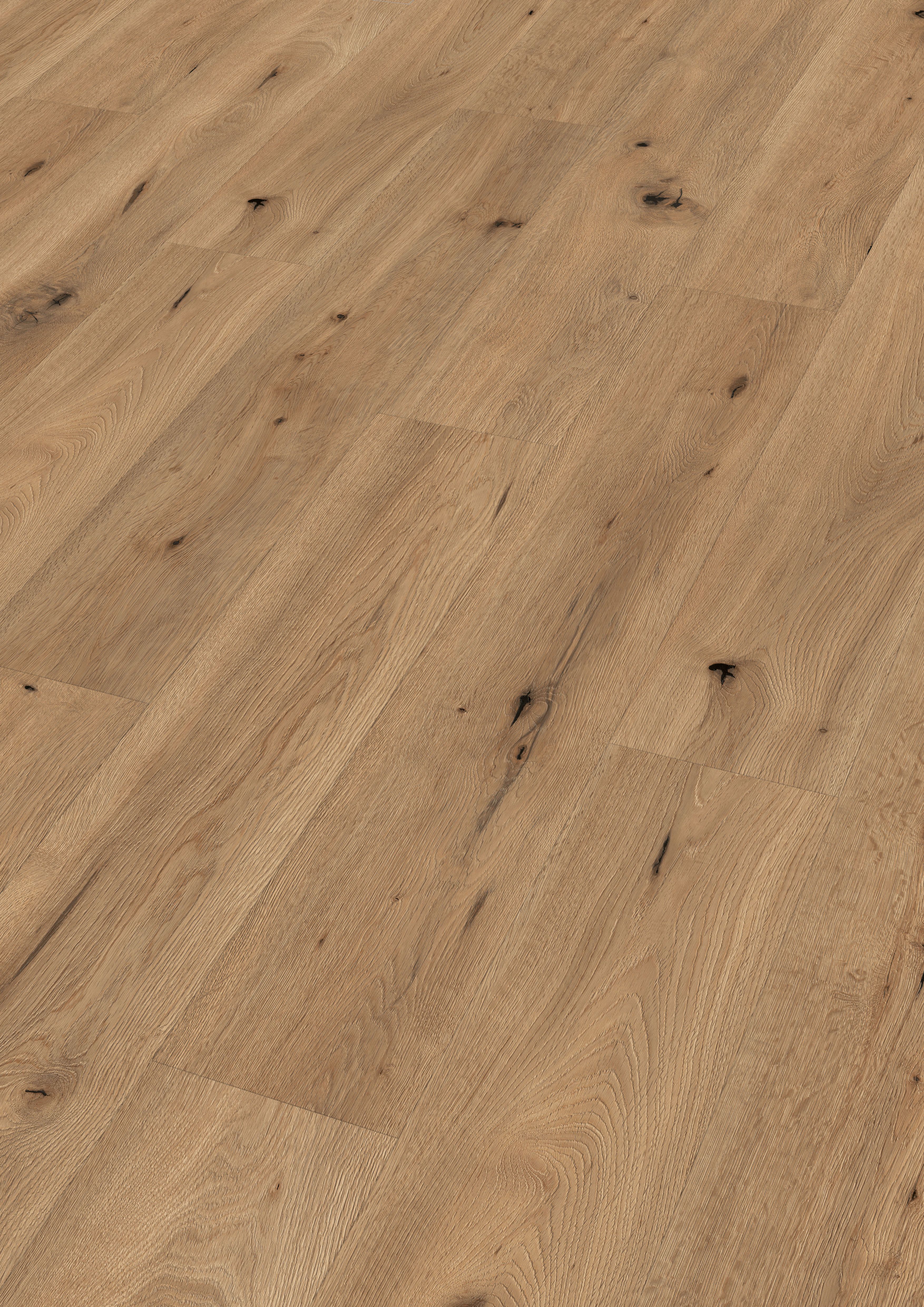 MEISTER Designboden next DD 500 S 1287 x 220 x 8 mm 6844 Feldeiche natur Natural Wood-Struktur 5G Dry®
