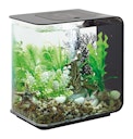 BiOrb Aquarium FLOW 15 MCR