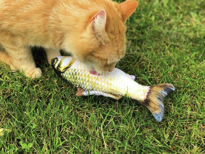 Aumüller Zappelfisch 35cm Katzenspielkissen