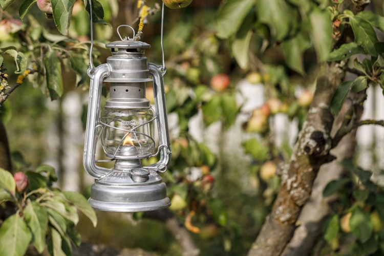 Feuerhand Sturmlaterne Baby Special 276