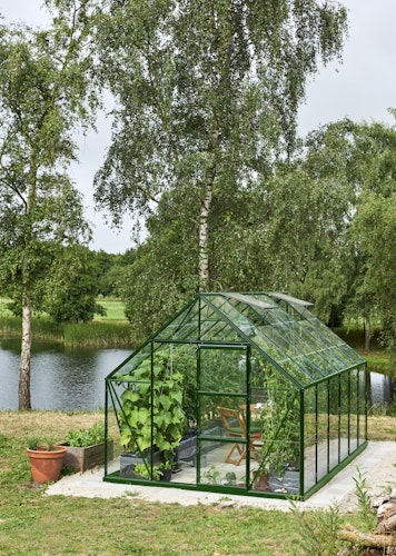 Halls Gewächshaus Universal SET inklusive Fundamentrahmen - 9,9 m²